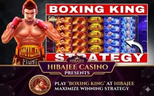 HIBAJEE Boxing King